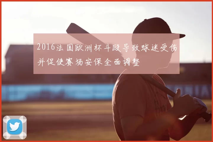 2016法国欧洲杯斗殴导致球迷受伤并促使赛场安保全面调整
