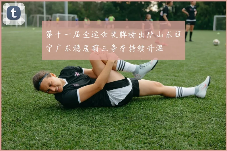 第十一届全运会奖牌榜出炉山东辽宁广东稳居前三争夺持续升温
